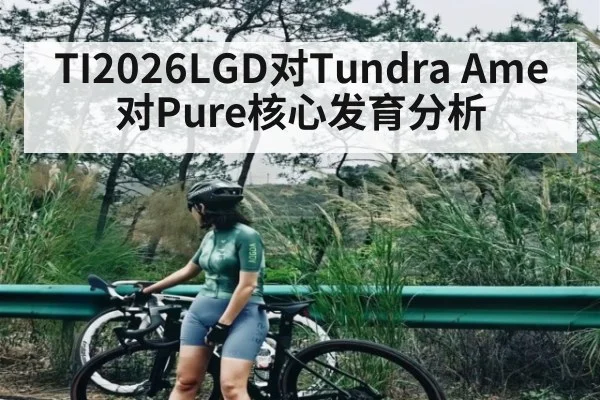 TI2026LGD对Tundra Ame对Pure核心发育分析