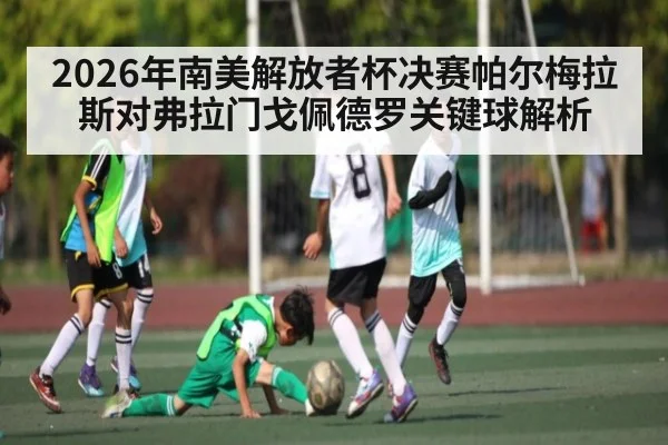 2026年南美解放者杯决赛帕尔梅拉斯对弗拉门戈佩德罗关键球解析